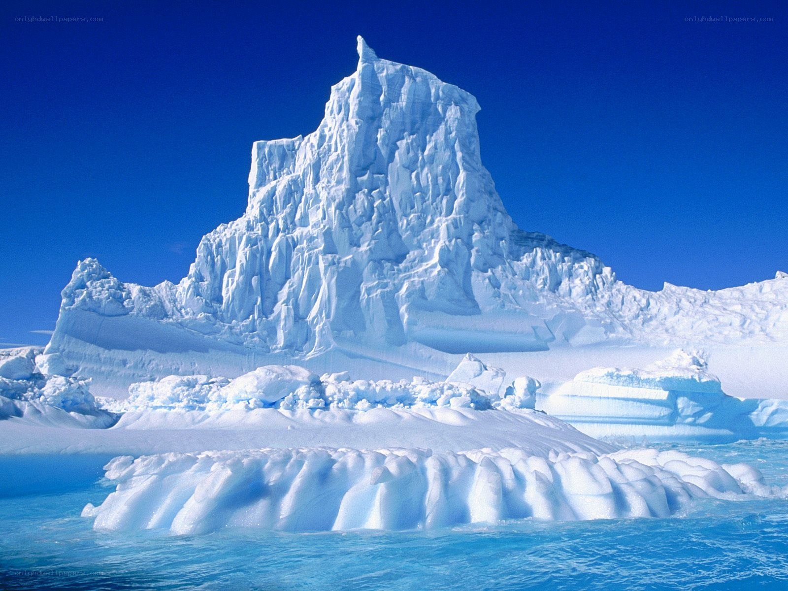 Iceberg in Antarctic waters