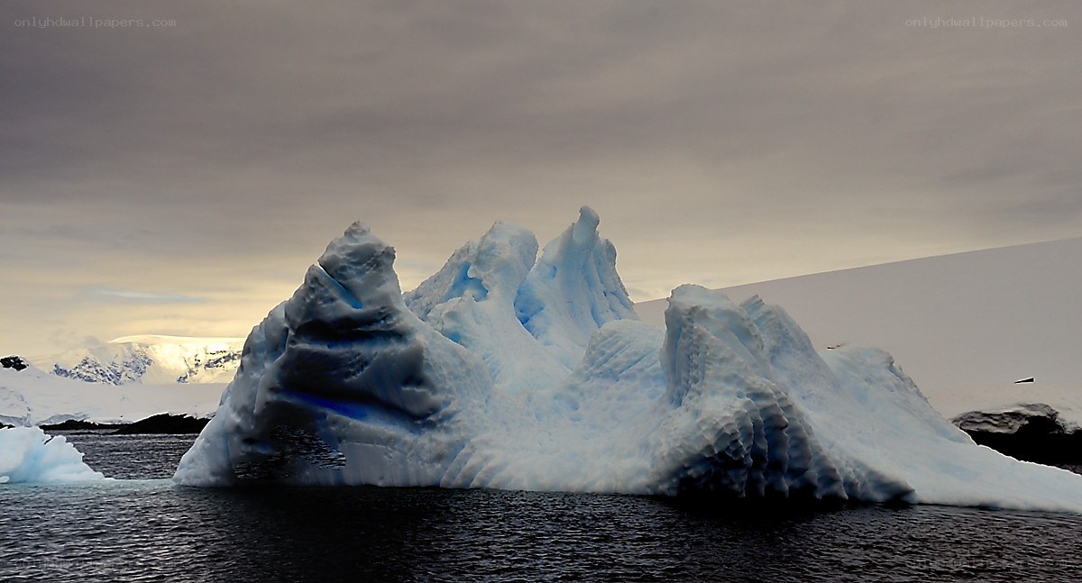 Iceberg in Antarctic waters