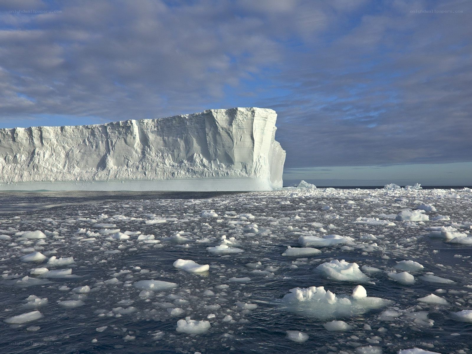 Iceberg in Antarctic waters