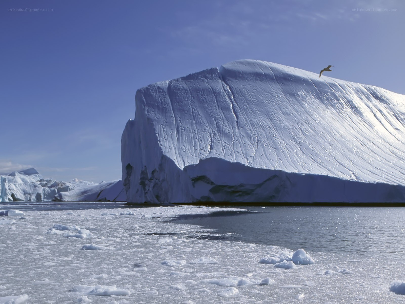 Iceberg in Antarctic waters