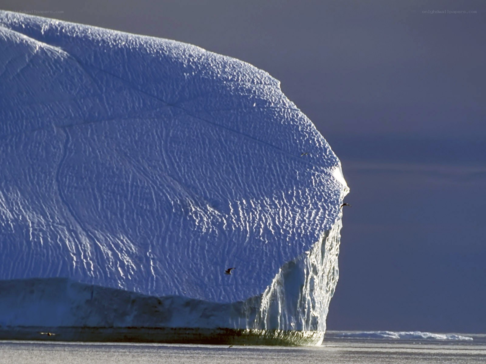 Iceberg in Antarctic waters