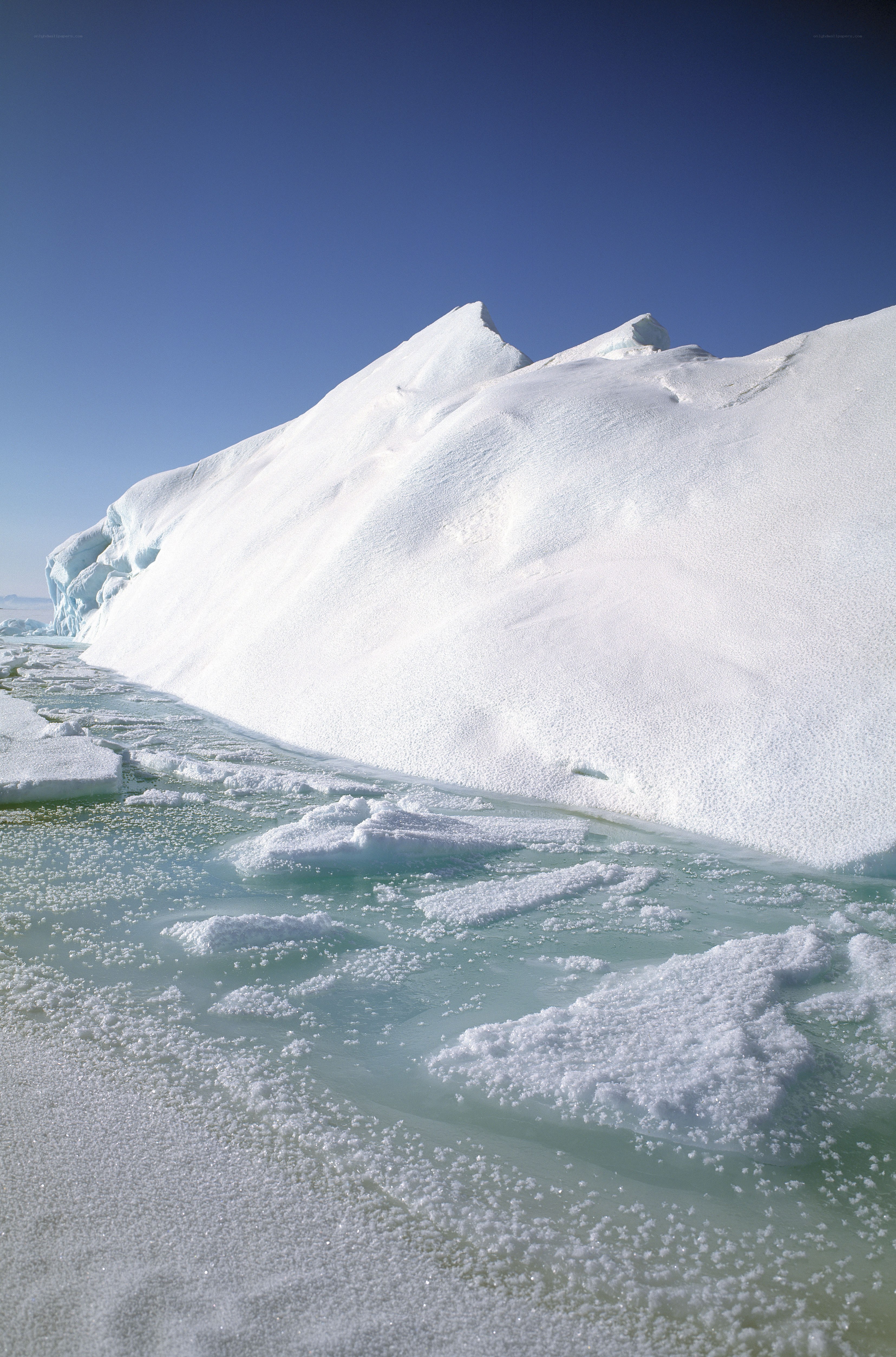 Iceberg in Arctic waters