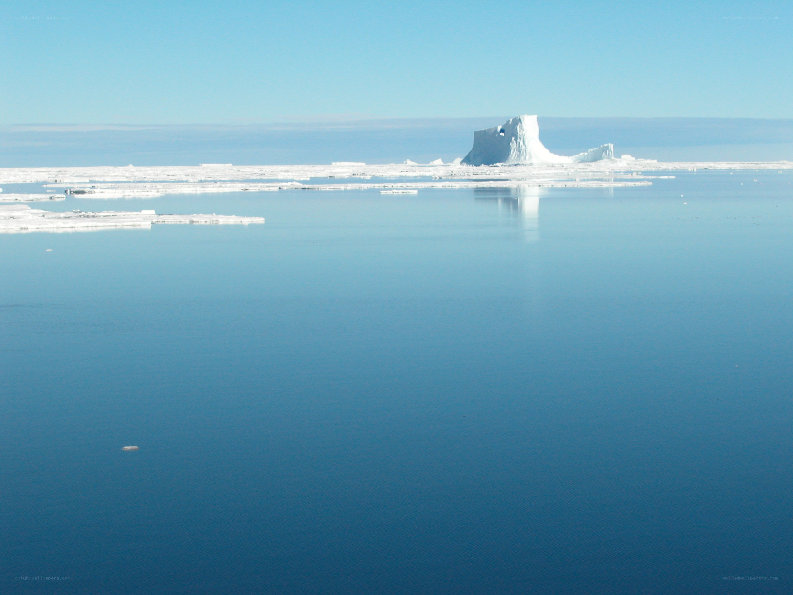 Iceberg in calm arctic waters