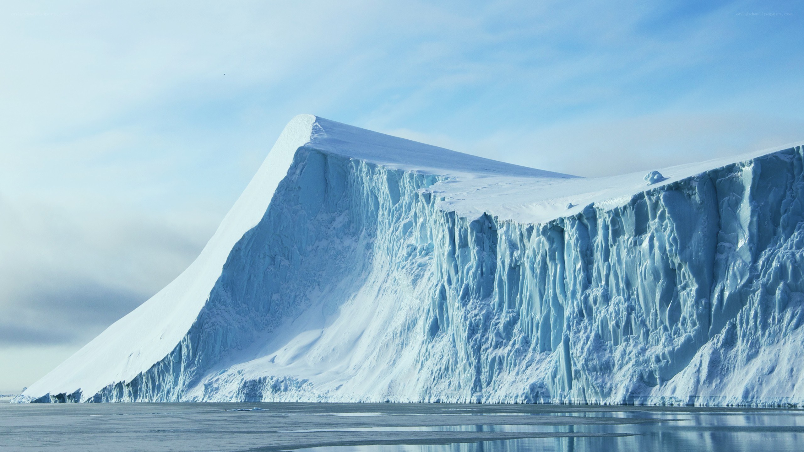 Iceberg in calm waters