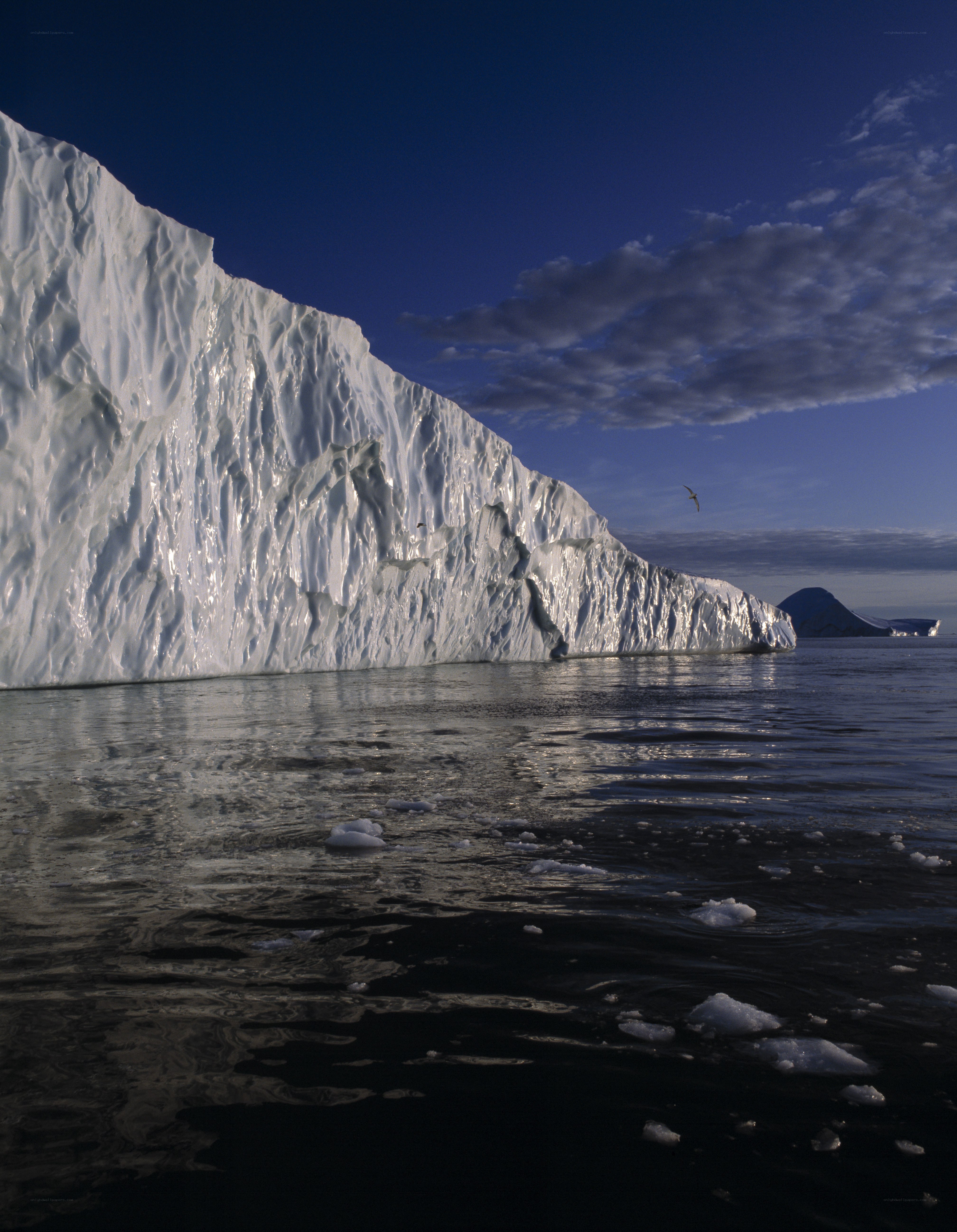 Iceberg in calm waters