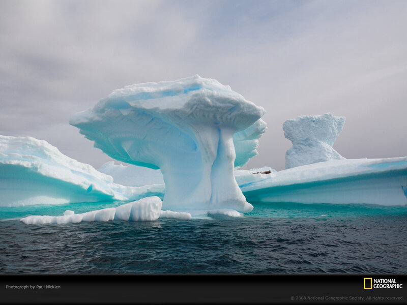 Iceberg in Ocean — Blue, Serene, Photograph, Sky, Seal