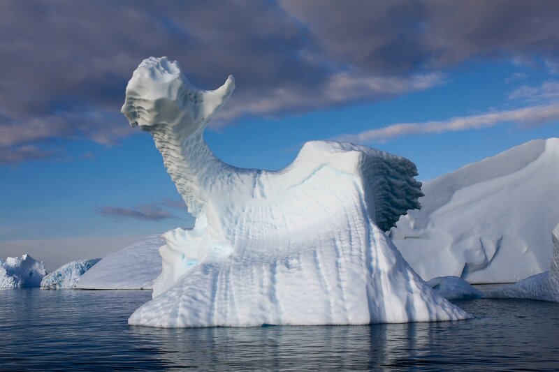 Iceberg Shaped Like a Creature