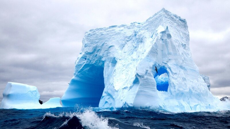 Iceberg with Arch — Blue, Dramatic, Photograph, Ocean, Bird