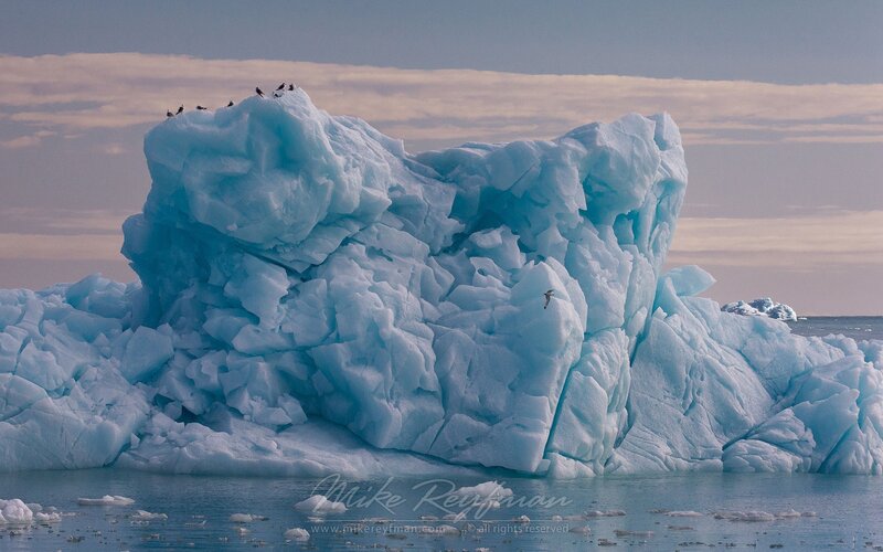 Iceberg with Birds — Blue, Serene