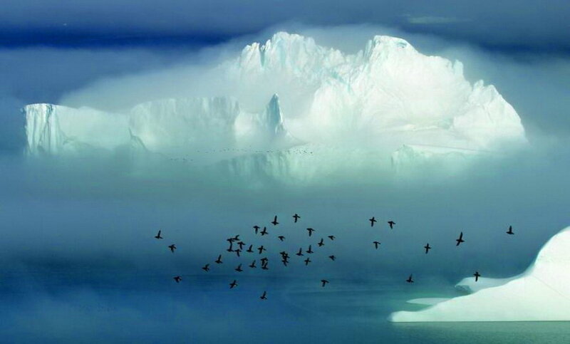 Iceberg with Birds