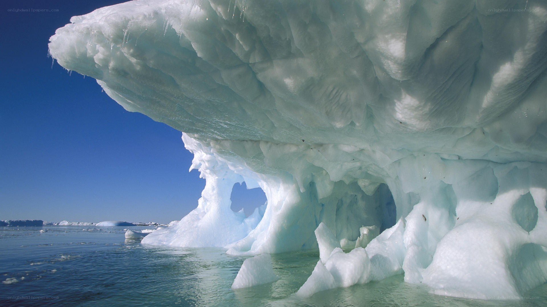 Iceberg with cave formation