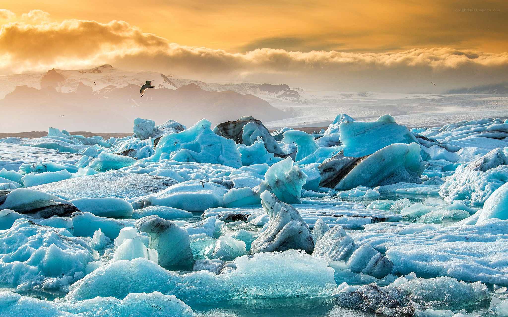 Icebergs at sunset in Iceland