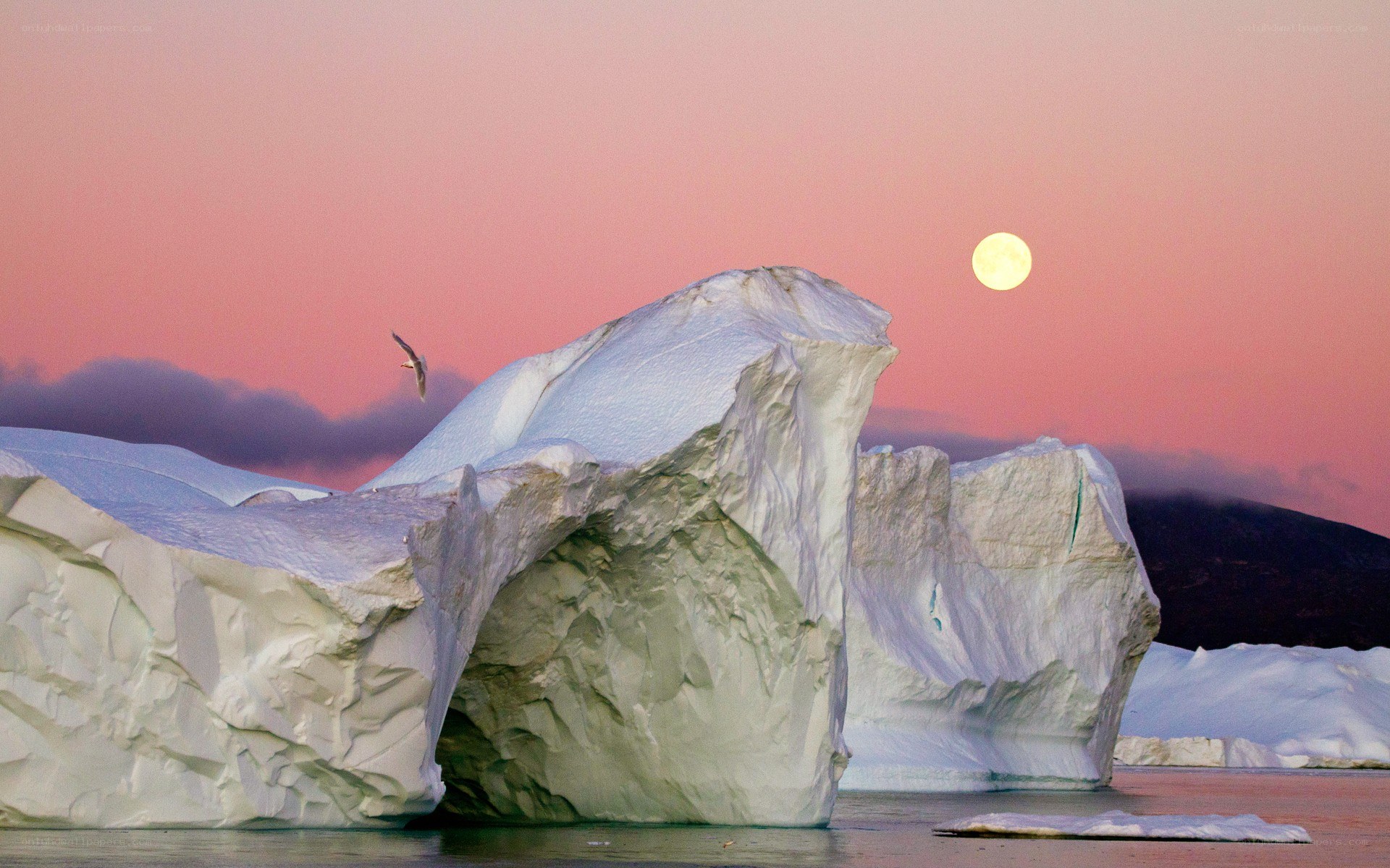 Icebergs at sunset with moon