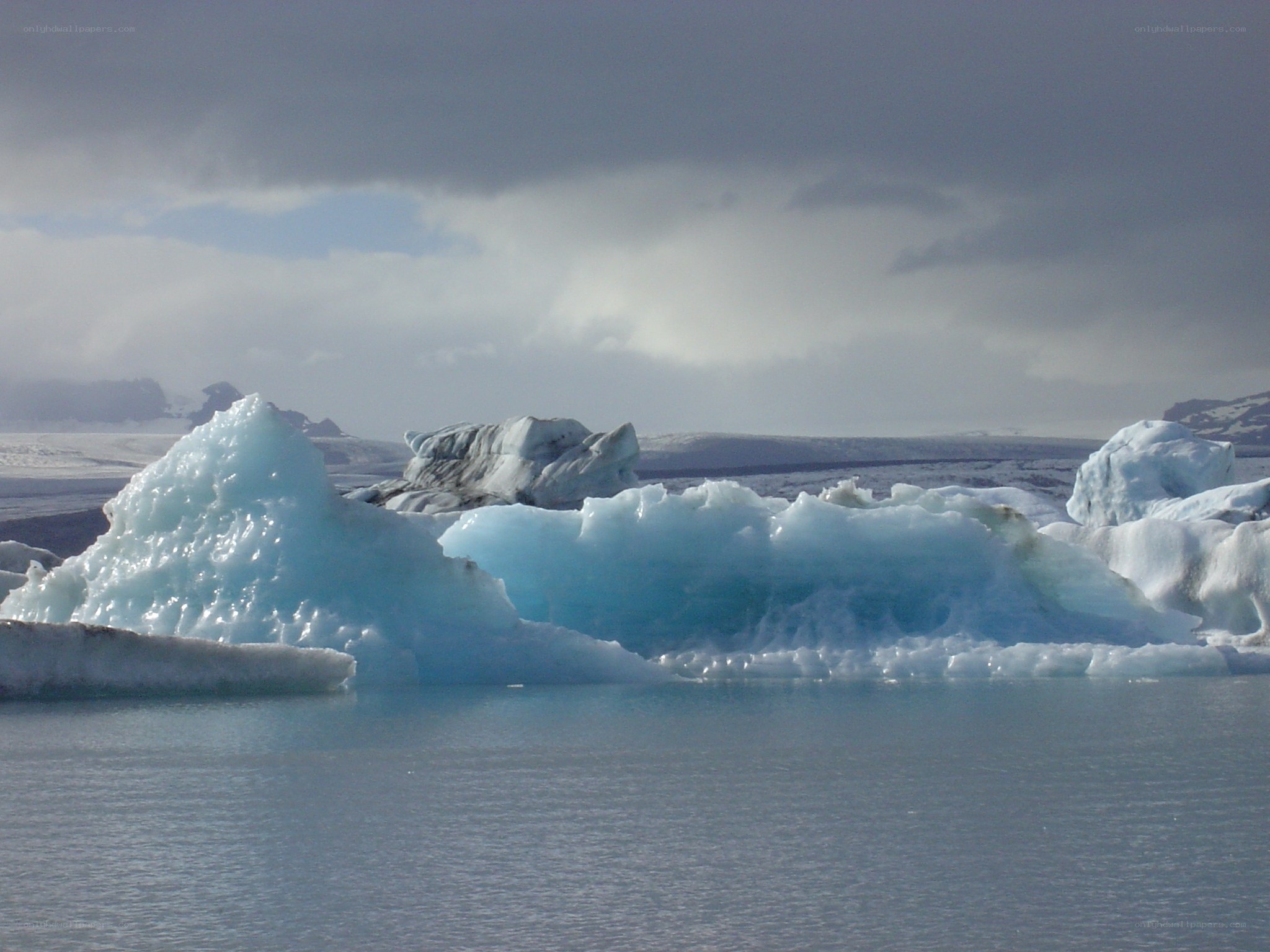 icebergs floating in a glacial lagoon
