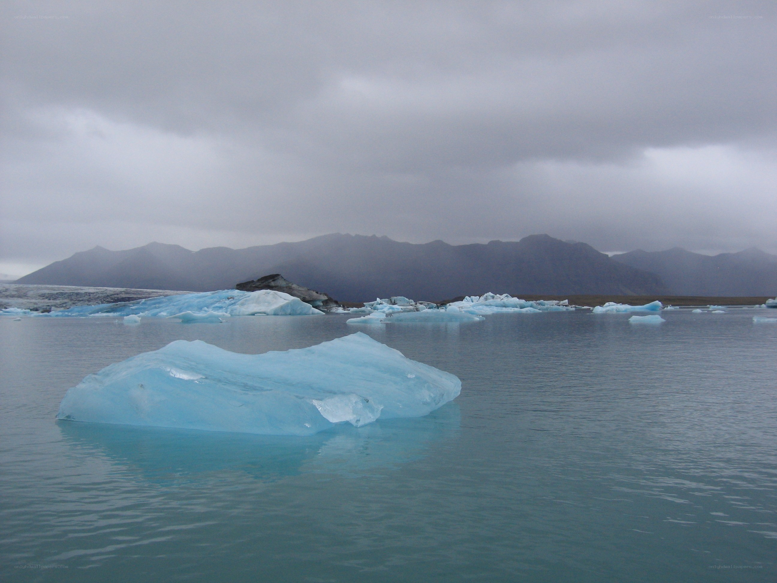 Icebergs floating in a glacial lagoon