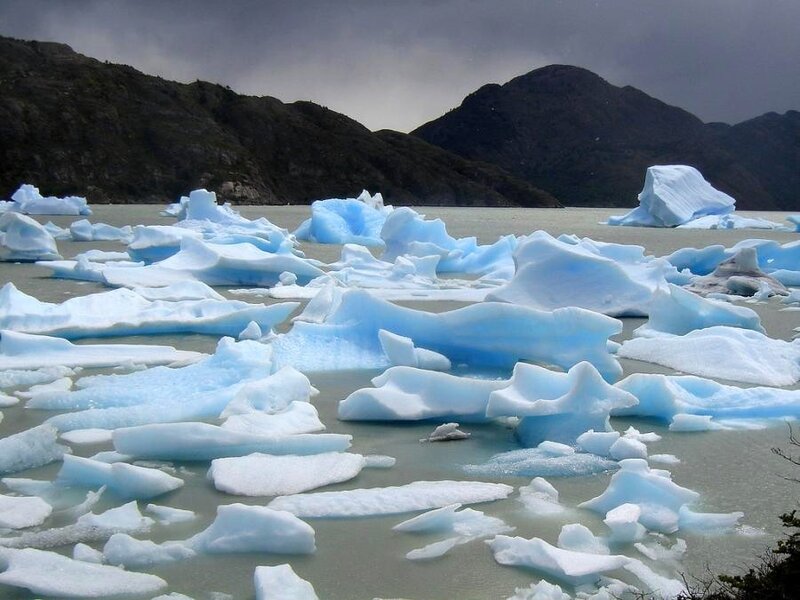 Icebergs floating in a lake