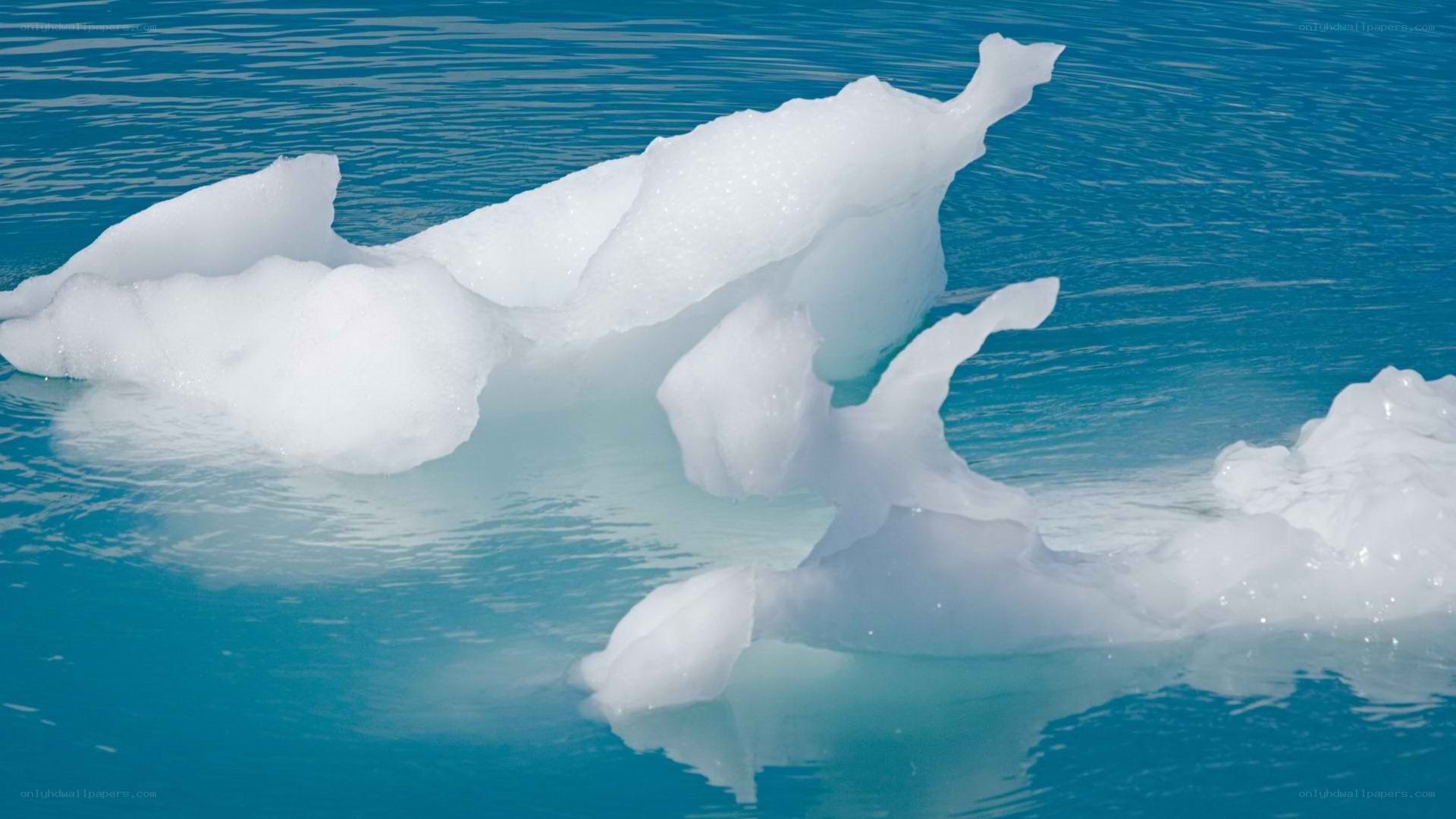 icebergs floating in blue water