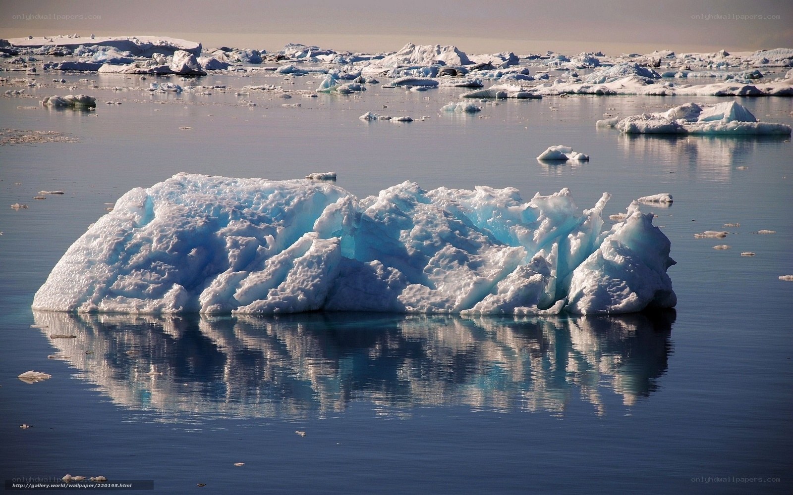 Icebergs floating in calm water