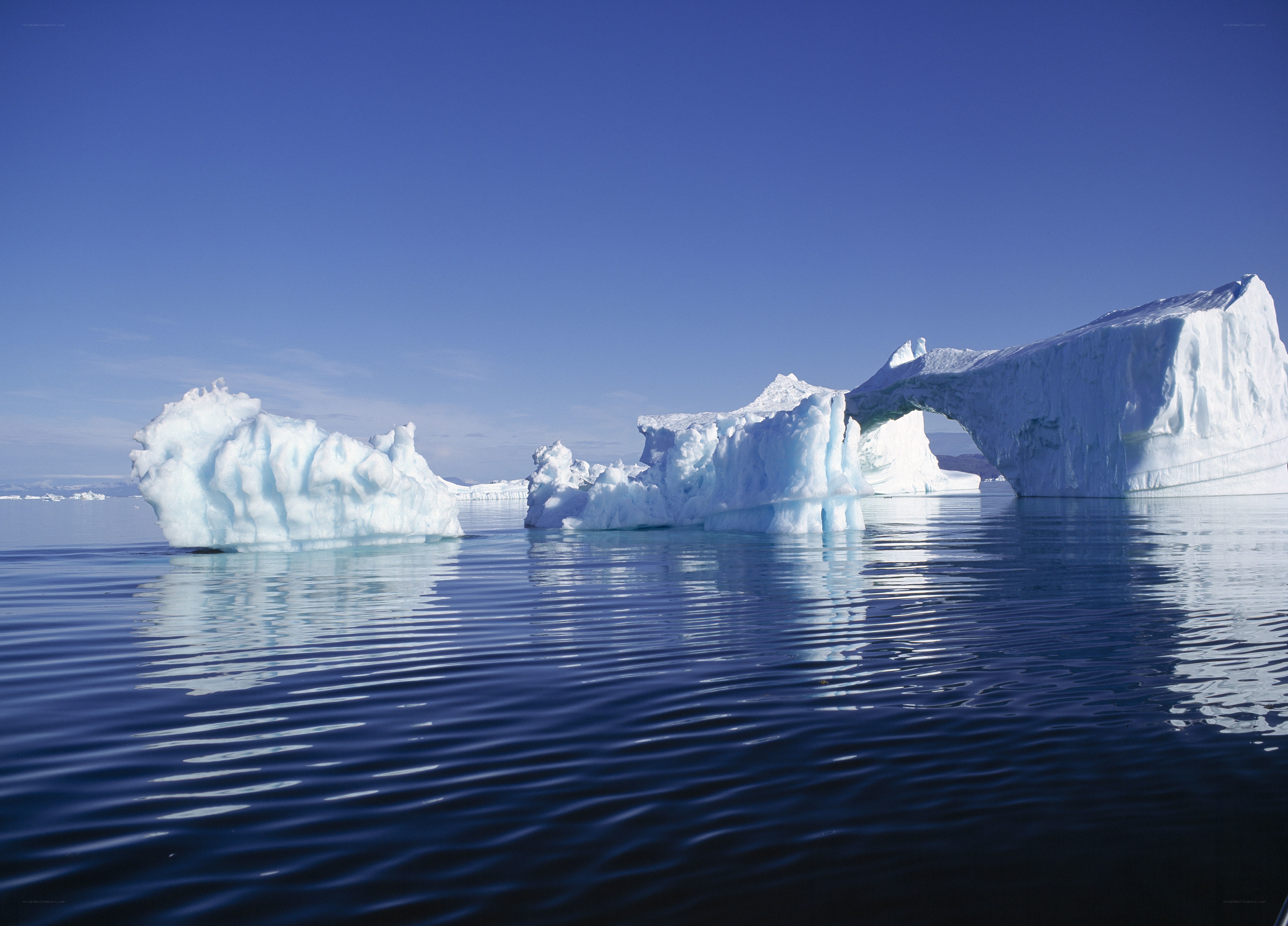 Icebergs floating in calm waters