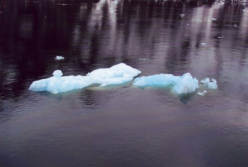 Icebergs floating in dark water