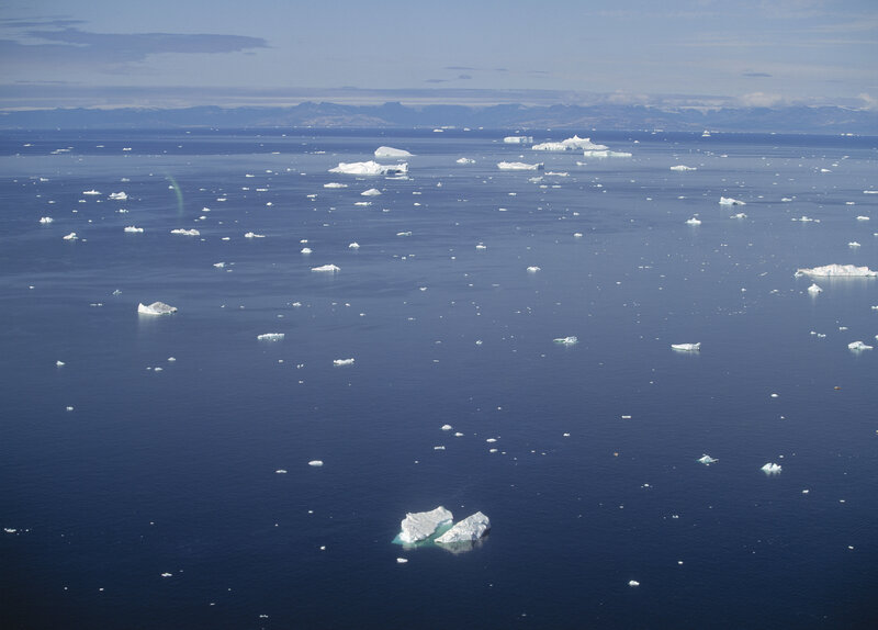 Icebergs floating in the ocean