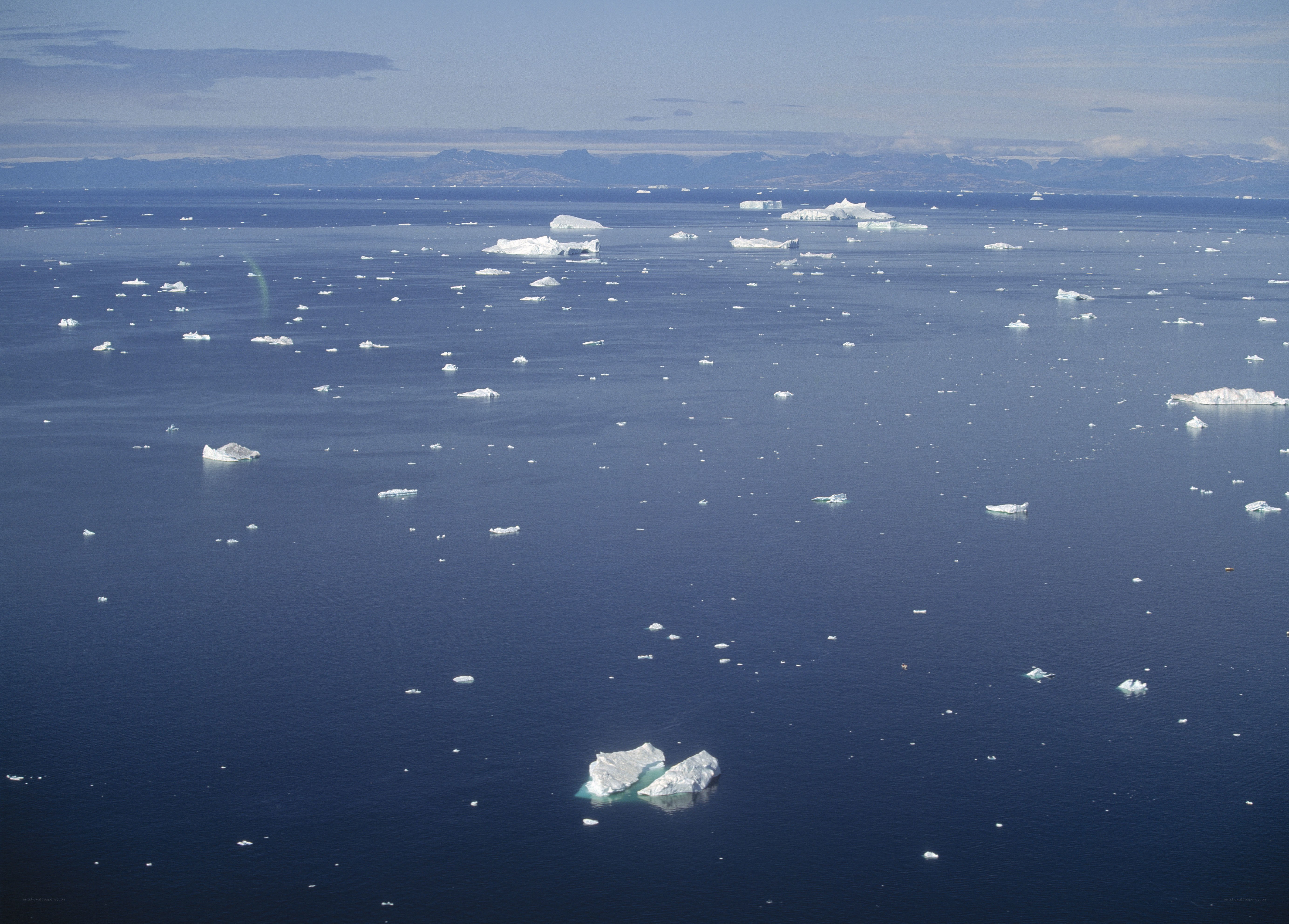 Icebergs floating in the ocean