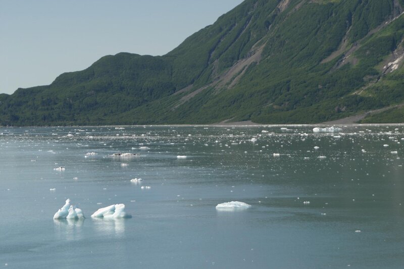 Icebergs in a Bay