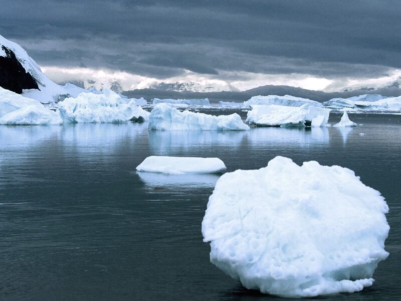 Icebergs in a calm sea