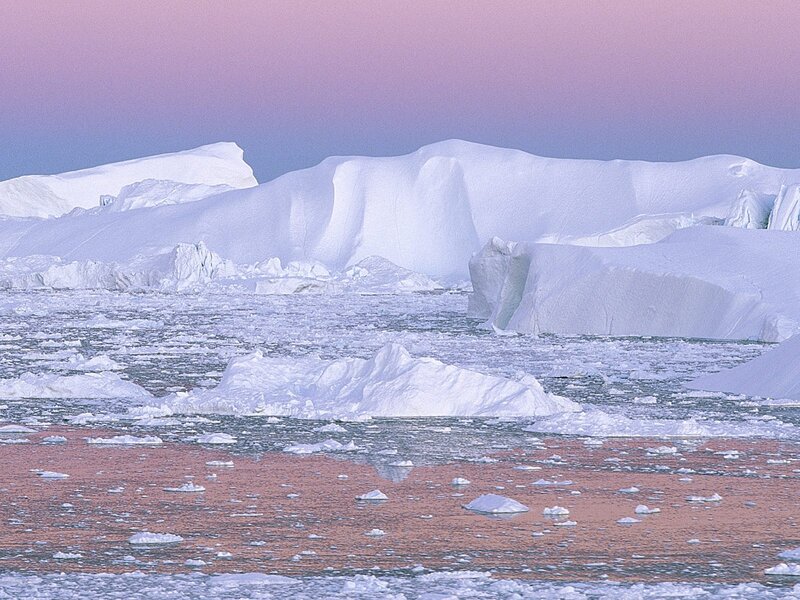 Icebergs in a calm sea