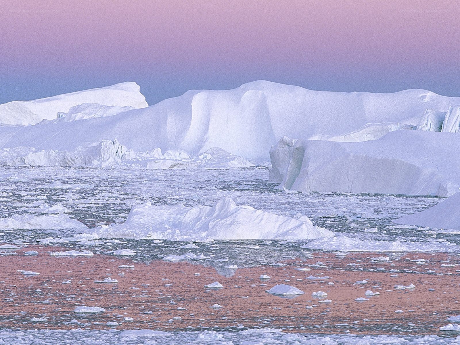 Icebergs in a calm sea