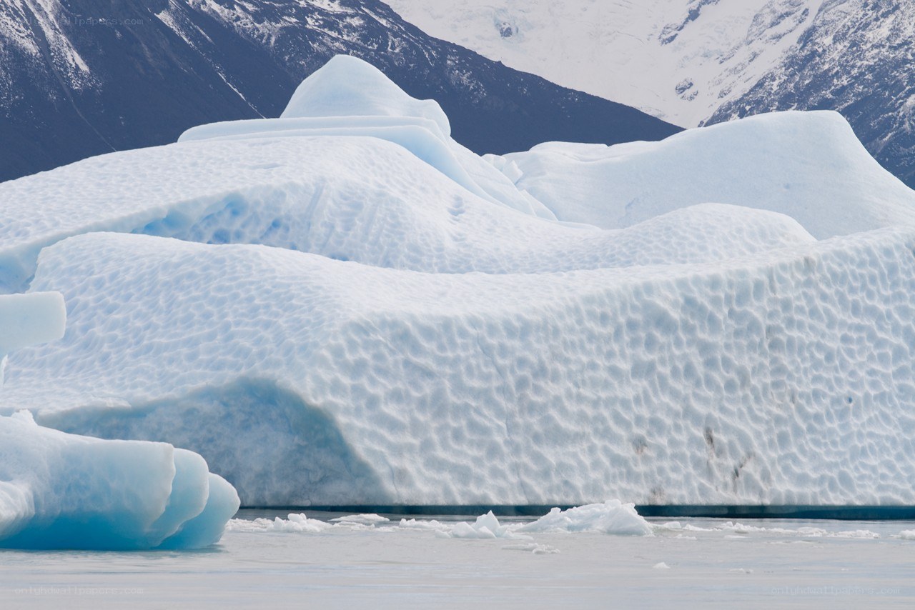 Icebergs in a glacial bay