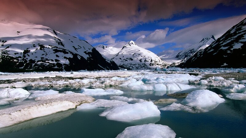 icebergs in a glacial bay
