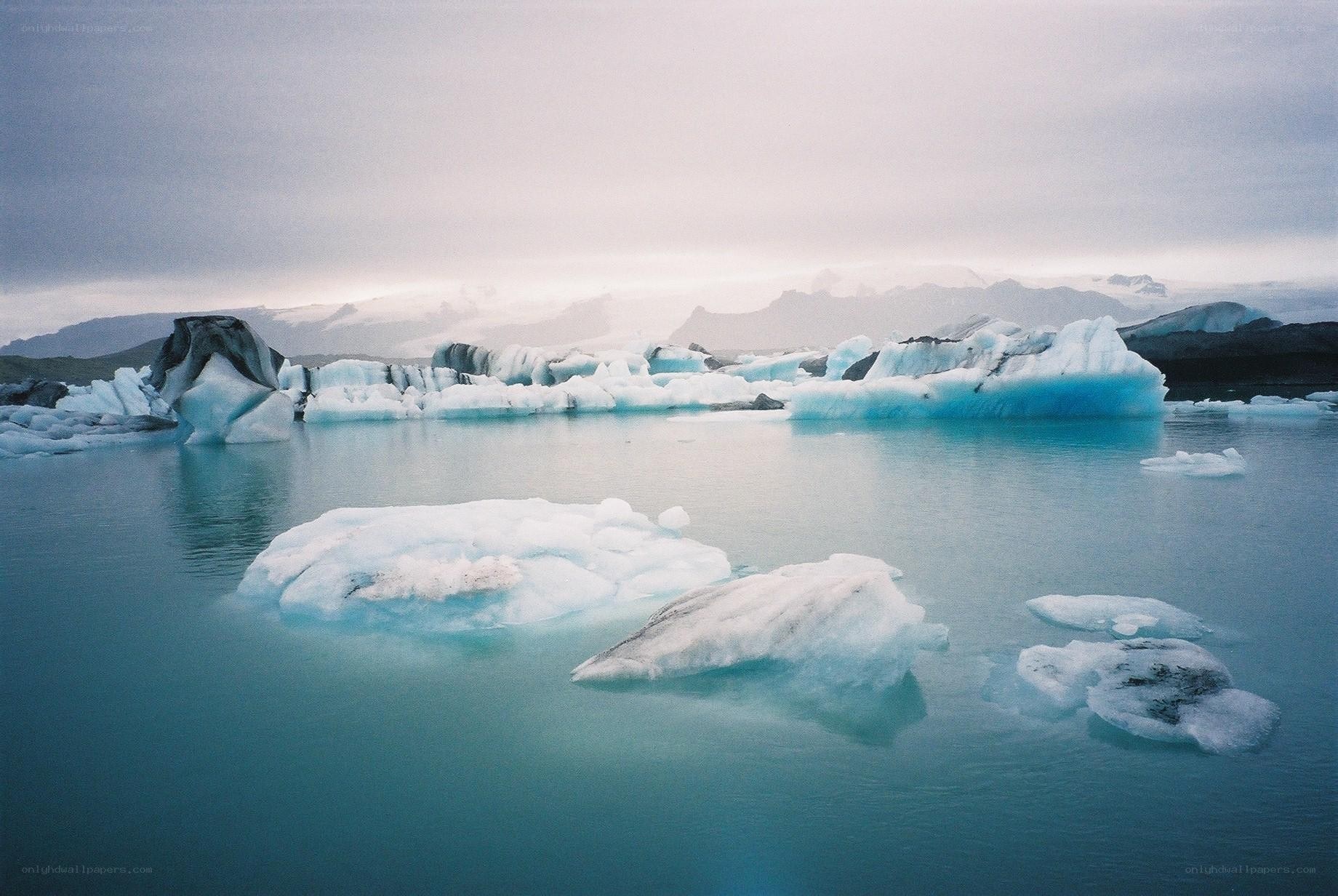 icebergs in a glacial lagoon