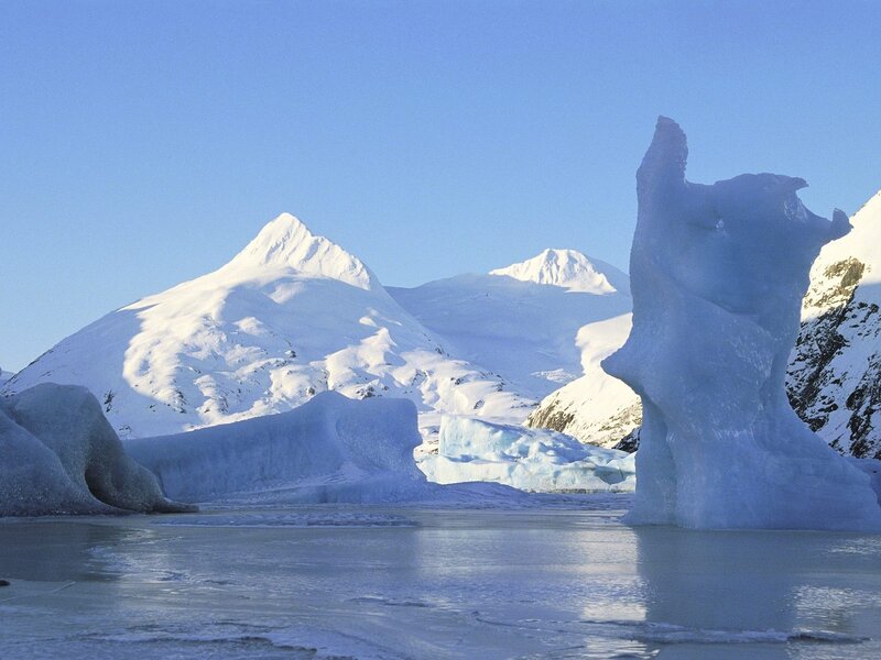 Icebergs in a polar landscape