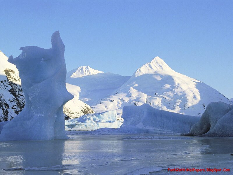Icebergs in a polar landscape