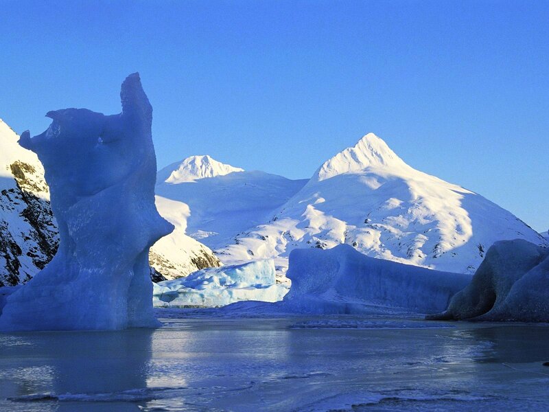Icebergs in a polar landscape