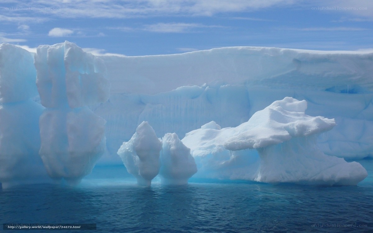 Icebergs in Antarctic waters