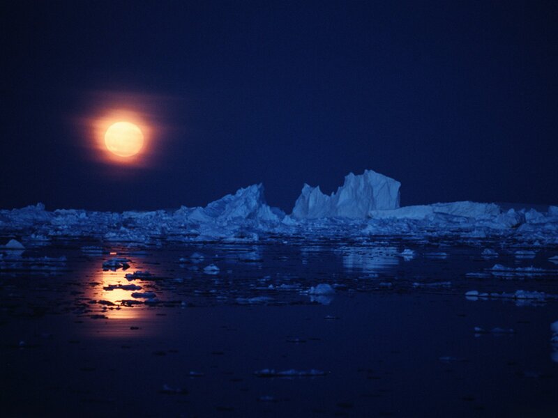 Icebergs in Arctic Water