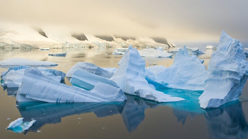 Icebergs in Calm Water — Blue, Serene, Morning, Photograph, Glacier