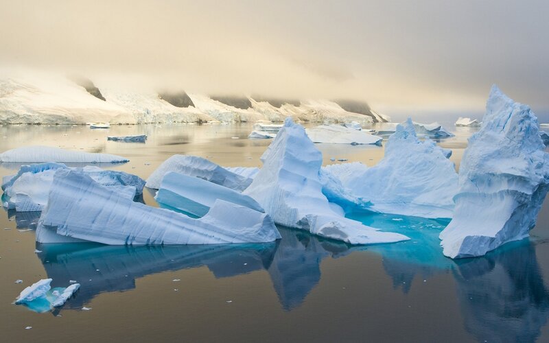 Icebergs in Calm Water — Blue, Serene, Morning, Photograph