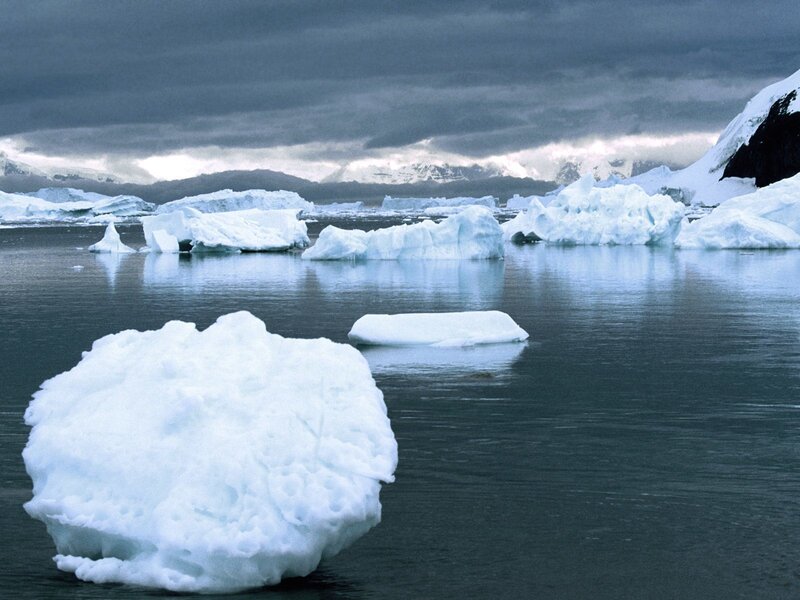 Icebergs in Calm Water