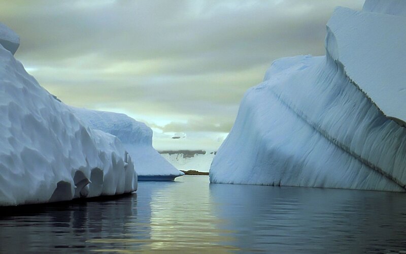 Icebergs in calm waters