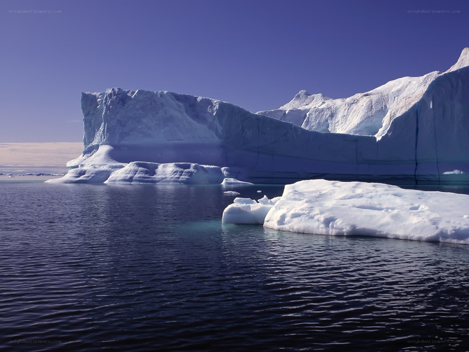 Icebergs in calm waters