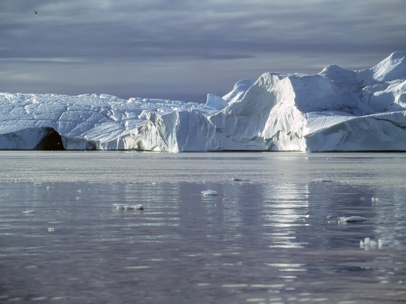 Icebergs in calm waters