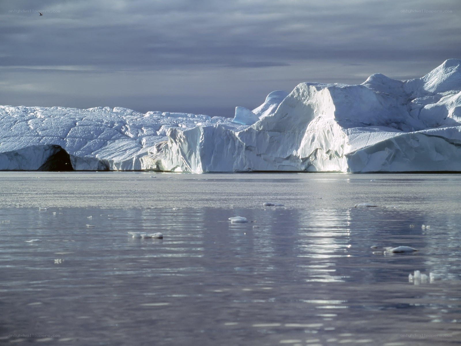 Icebergs in calm waters