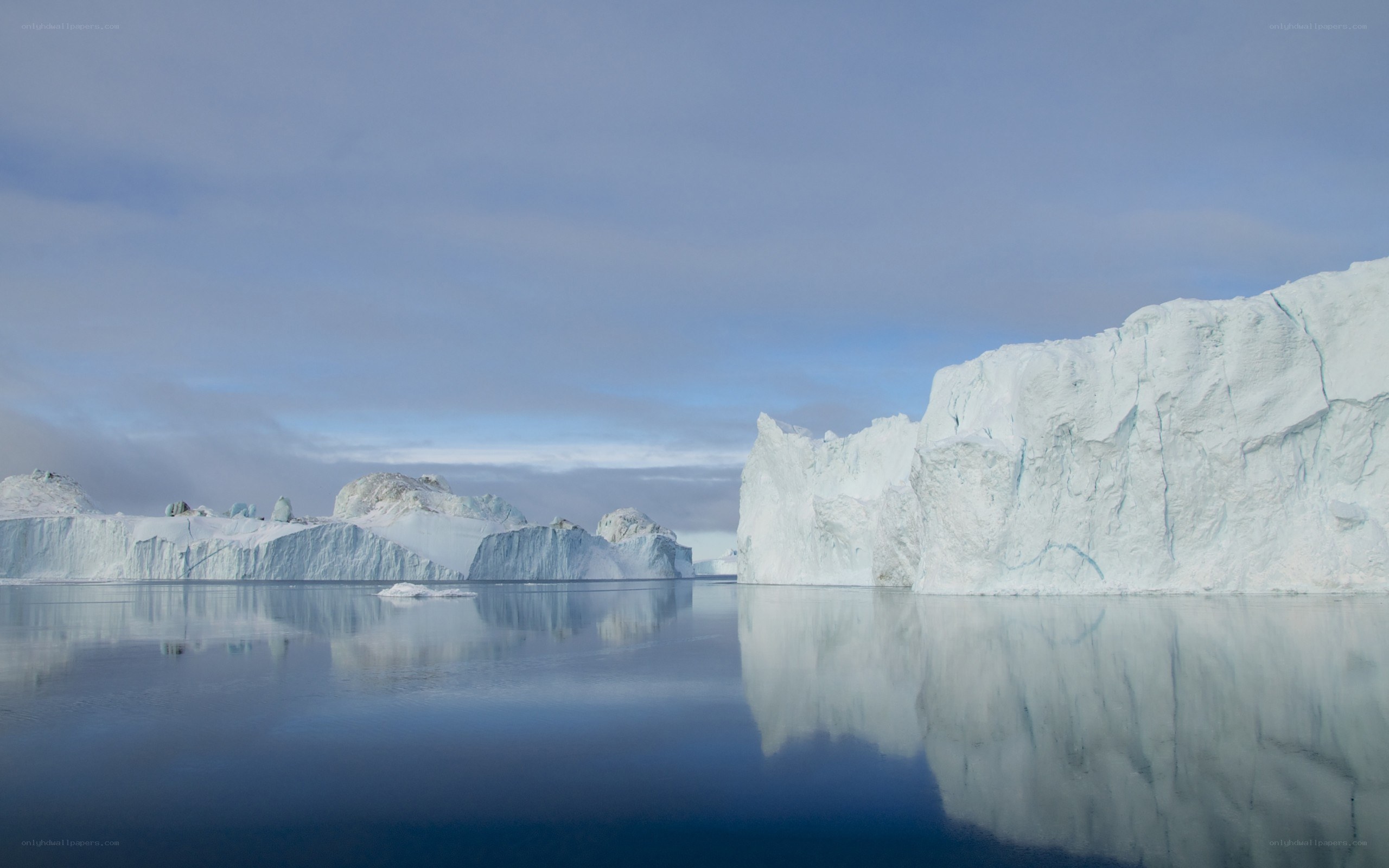 Icebergs in calm waters