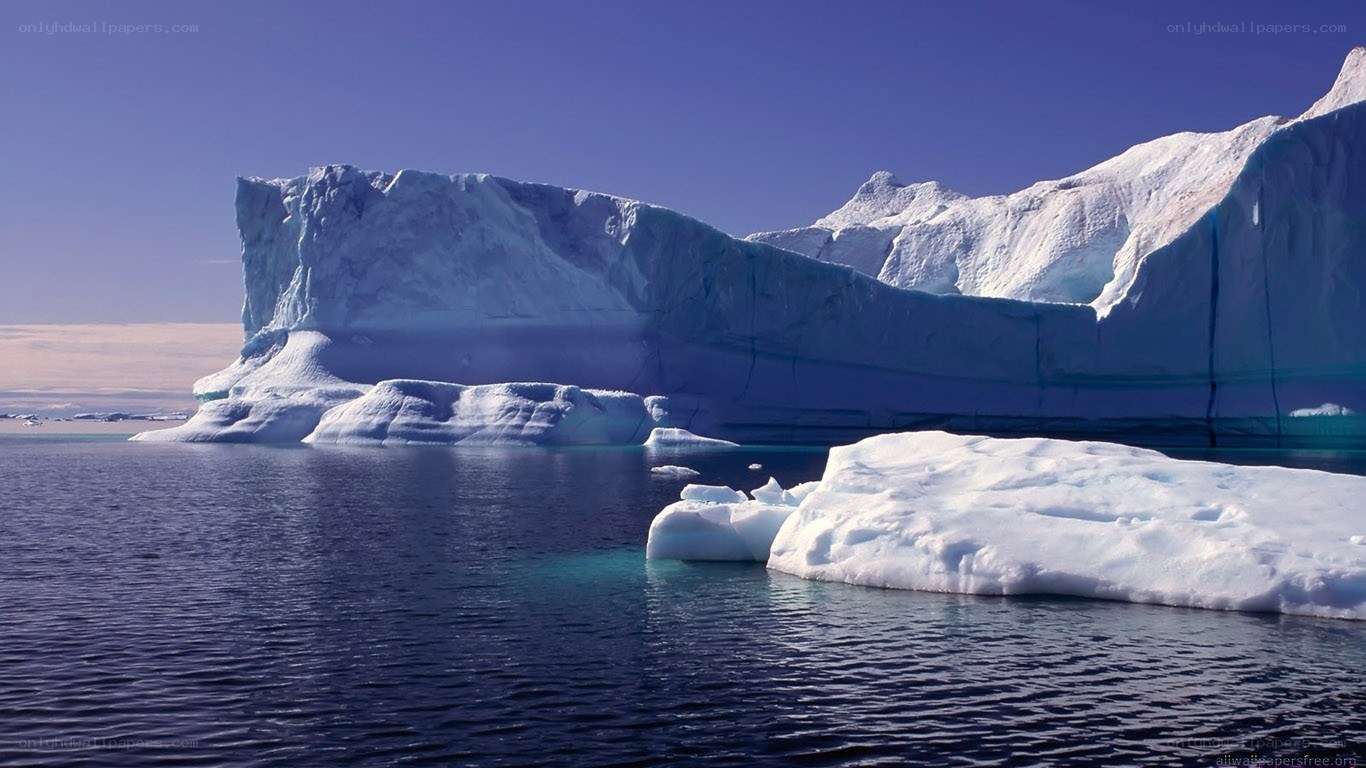 Icebergs in calm waters