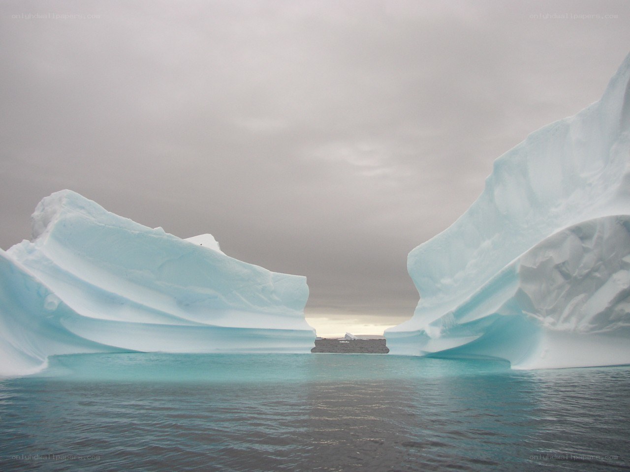 Icebergs in calm waters