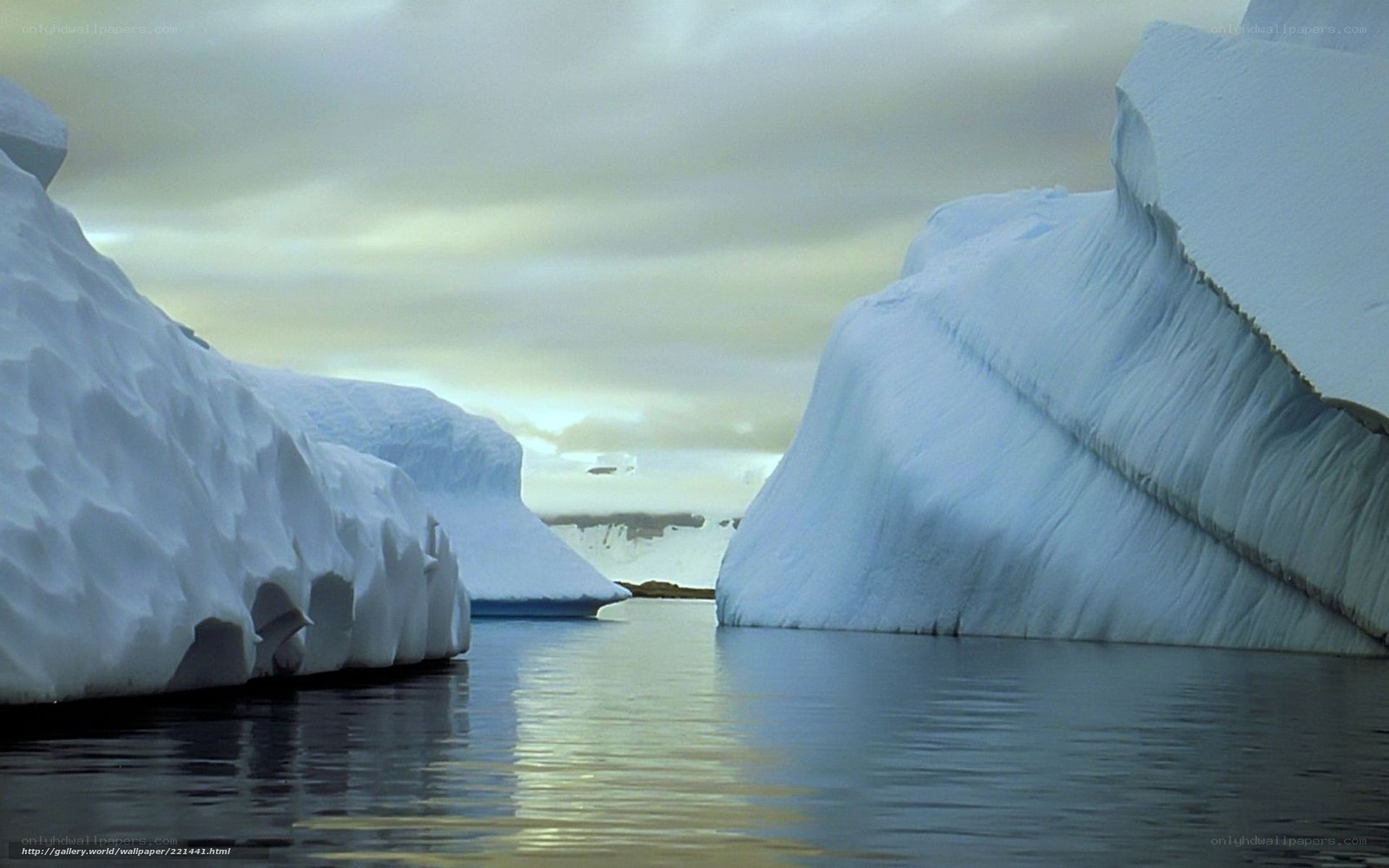 icebergs in calm waters