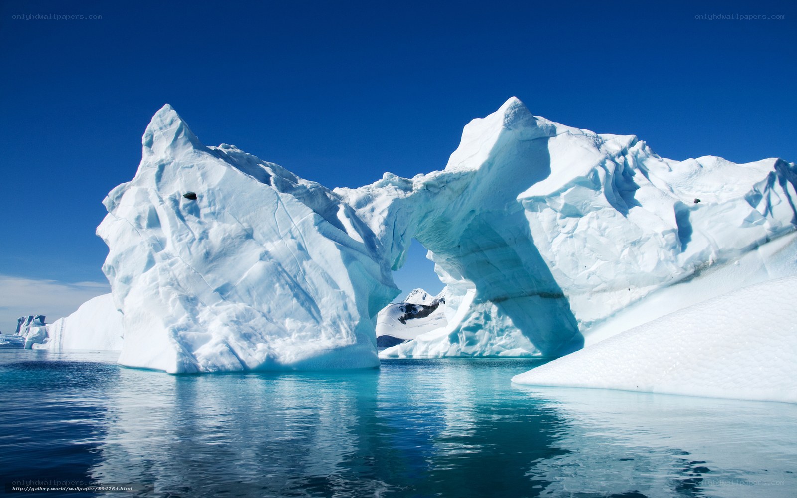 Icebergs in clear blue water